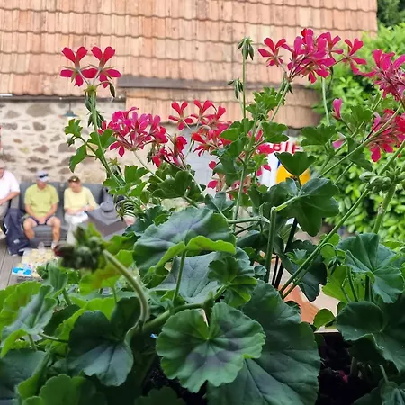 Le Gambrinus D'hotes Et Restaurant 3* Beblenheim