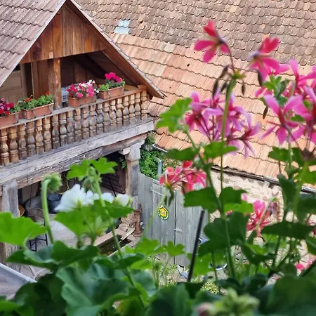 Gasthuis Le Gambrinus D'hotes Et Restaurant Beblenheim