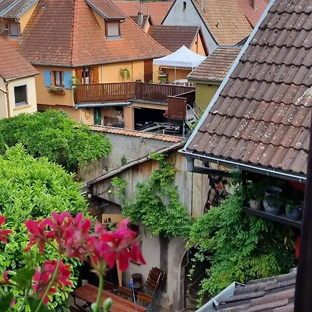 Le Gambrinus D'hotes Et Restaurant Affittacamere Beblenheim