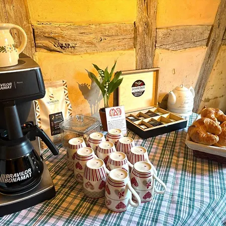 Le Gambrinus D'hotes Et Restaurant Penzion Beblenheim