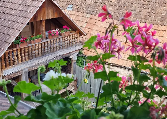 Gasthuis Le Gambrinus D'hotes Et Restaurant Beblenheim